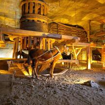 un cavall dret en una habitació amb un edifici