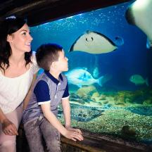 una dona i un nen mirant peixos en un aquari