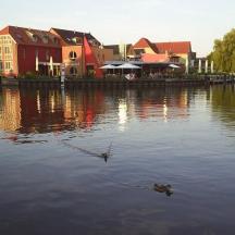 ein Gewässer mit Häusern und einer Ente im Wasser