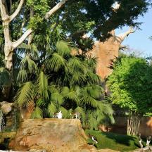 a group of people standing on a rock in a zoo