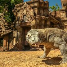 a lizard is standing in front of a building
