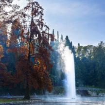 a fountain in the middle of a lake with trees
