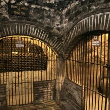 an entrance to a wine cellar with an iron gate