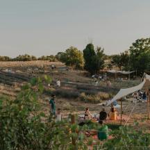 a group of people in a field with a tent