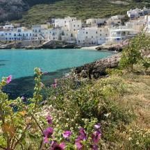 una vista d'una platja amb edificis blancs i flors