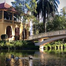 eine Brücke über einen Fluss mit Enten vor einem Gebäude