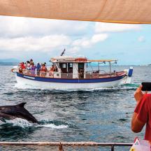 a man taking a picture of a dolphin in a boat