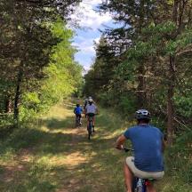 a group of people riding bikes down a trail