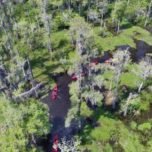 un grup de persones dempeus en un riu en un bosc