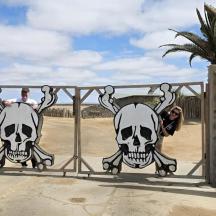 two skulls on a gate in the desert