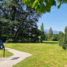 einen Weg in einem Park mit einem Schild im Gras