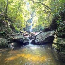 a stream in a forest with rocks and a waterfall