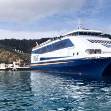Un gran crucero en el agua