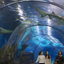 un grup de persones dretes davant d'un aquari