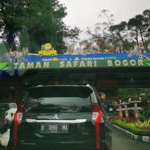 Ein Auto parkte vor einer Tarzan-Safari-Box