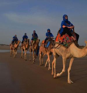 skupina lidí jedoucích na velbloudech na pláži