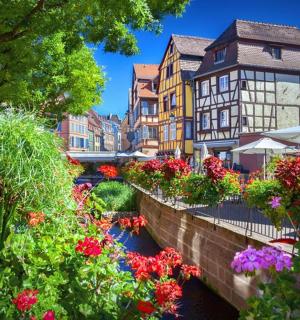 un ram de flors en una ciutat amb edificis