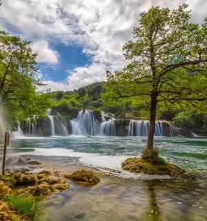 नदी के सामने एक पेड़ वाला झरना