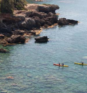 两人在岩石海岸附近的水中划皮艇