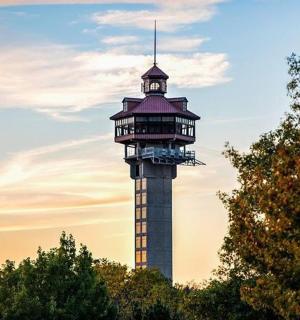 budova s věží uprostřed stromů