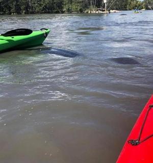 a green boat and a red kayak in the water