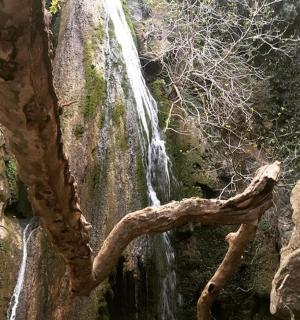 山边有树枝的瀑布