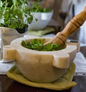 研钵和研杵放在桌子上，桌子上摆放着植物