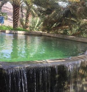 花园里有瀑布的游泳池