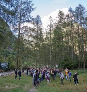 a large group of people walking through a forest