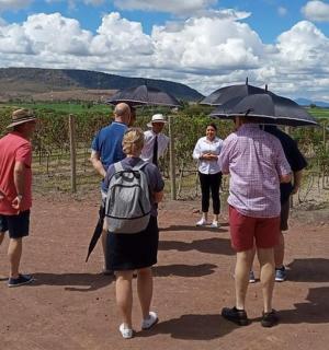 一群人站在伞下看葡萄