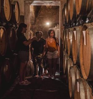 一群人穿过酒窖