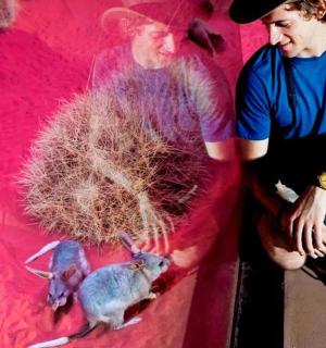 一名男子站在一幅啮齿动物画旁边