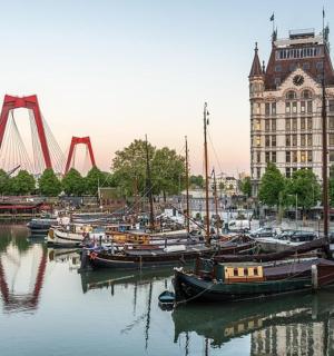 一群船停靠在港口