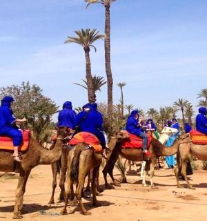 a group of people riding on the backs of camels