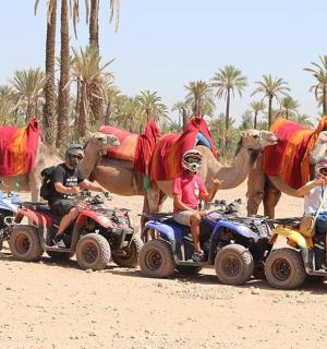a group of people riding on four wheelers with a camel