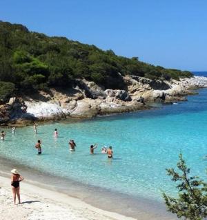 eine Gruppe von Menschen im Wasser an einem Strand