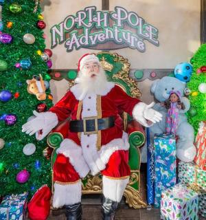 Santa Claus sedící vedle vánočních stromků