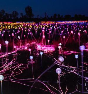 velké pole plné spousty růžových a bílých světel