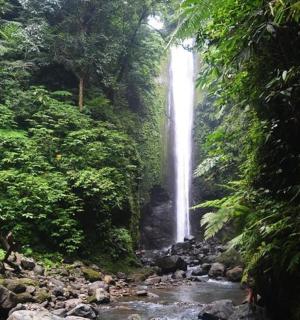 vodopád uprostřed potoka v lese