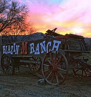 starý koňský povoz sedící na poli