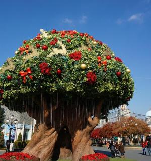 一个长满鲜花的大树桩