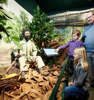 一群人站在一株植物前