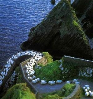 水中岛屿的鸟瞰图