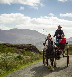 一名男子和两个孩子乘坐马车在路上行驶