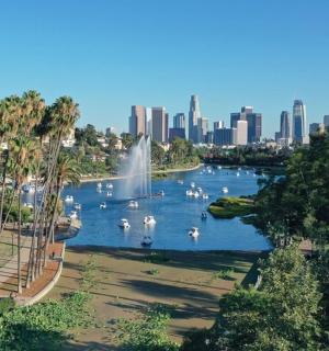 有喷泉的湖泊和城市的景色