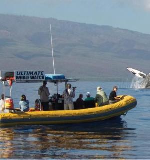skupina lidí na lodi s velrybou ve vodě