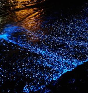 夜晚水中的一组蓝色灯光