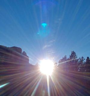 天空中，一轮阳光洒在几棵树上