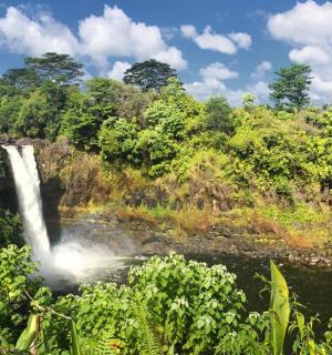 a waterfall in the middle of a forest