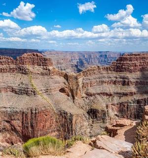 从边缘俯瞰大峡谷